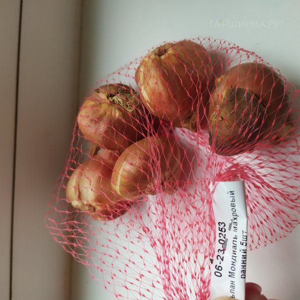 превью изображения отзыва