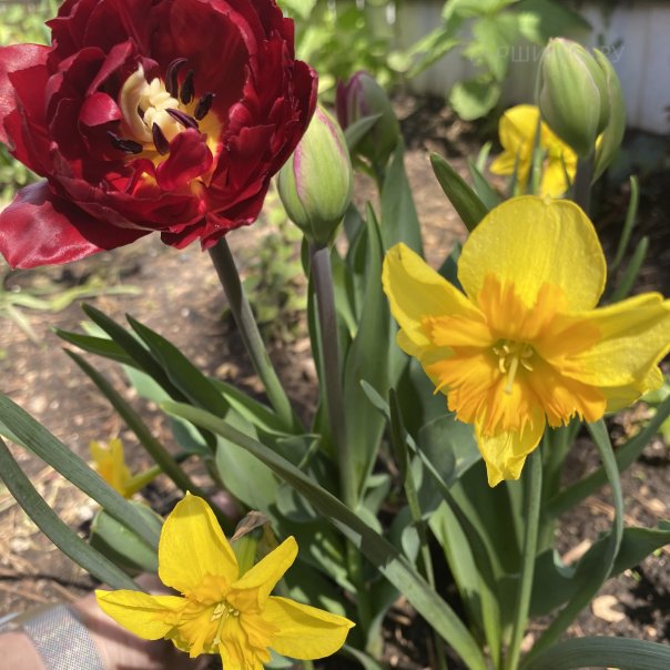 превью изображения отзыва