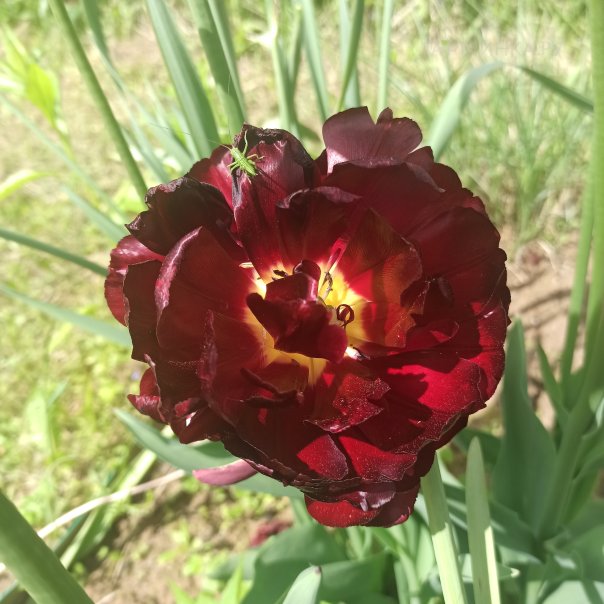 превью изображения отзыва