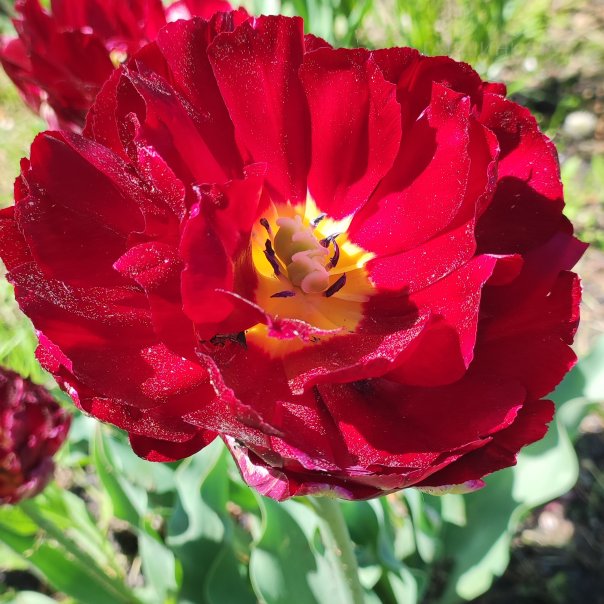 превью изображения отзыва