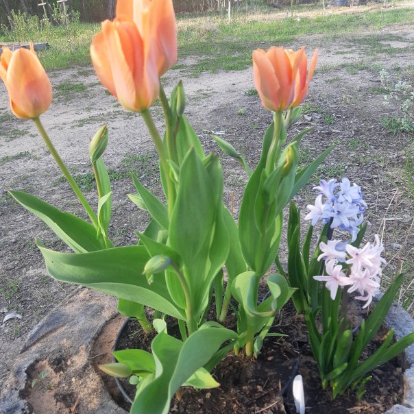 превью изображения отзыва