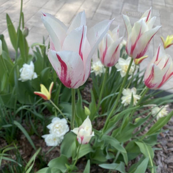 превью изображения отзыва