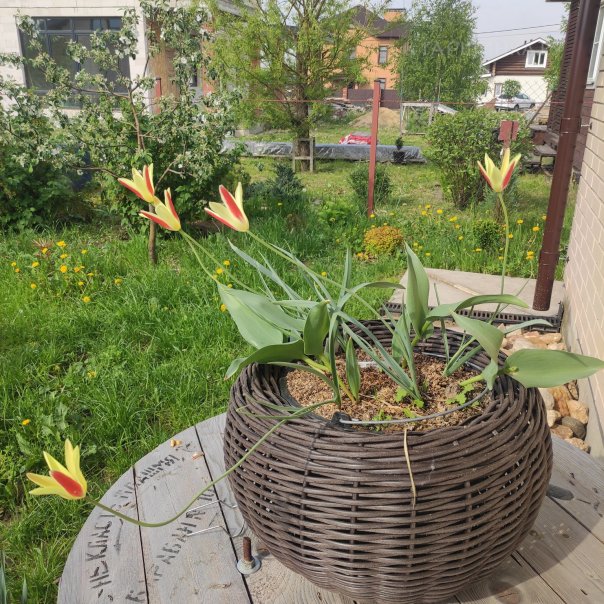 превью изображения отзыва