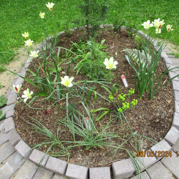 превью изображения отзыва