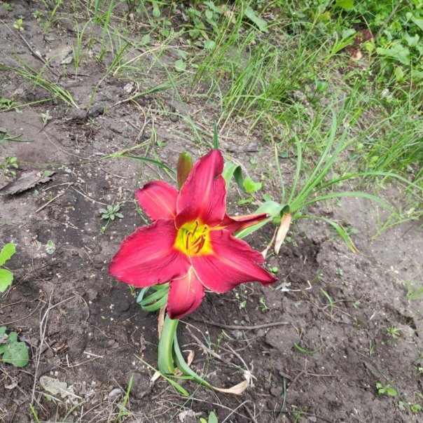 превью изображения отзыва