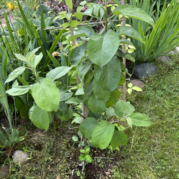 превью изображения отзыва