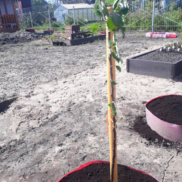 превью изображения отзыва