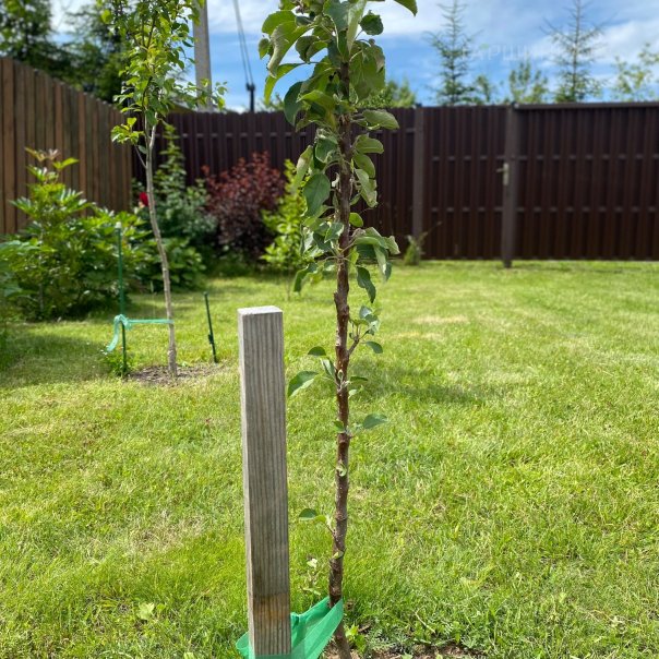 превью изображения отзыва