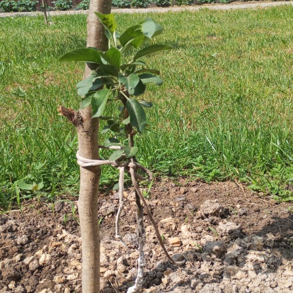 превью изображения отзыва