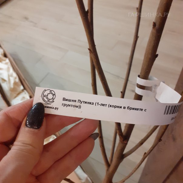 превью изображения отзыва