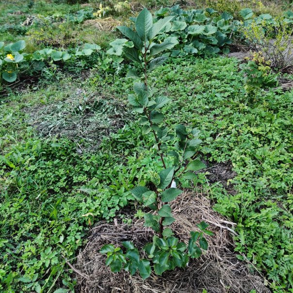 превью изображения отзыва