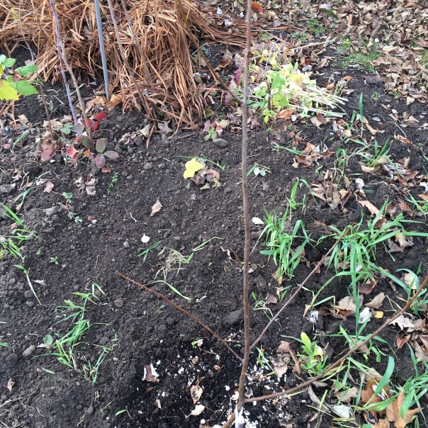 превью изображения отзыва