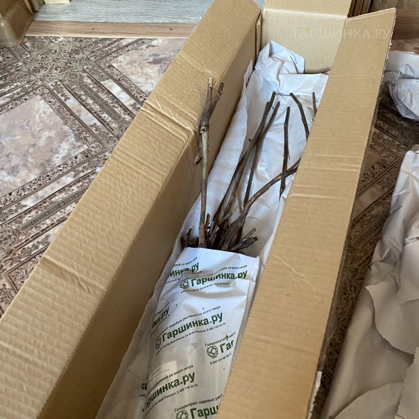 превью изображения отзыва