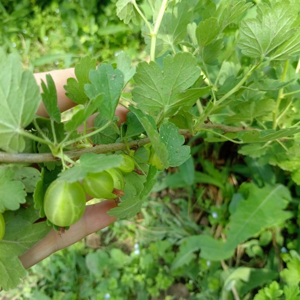 превью изображения отзыва