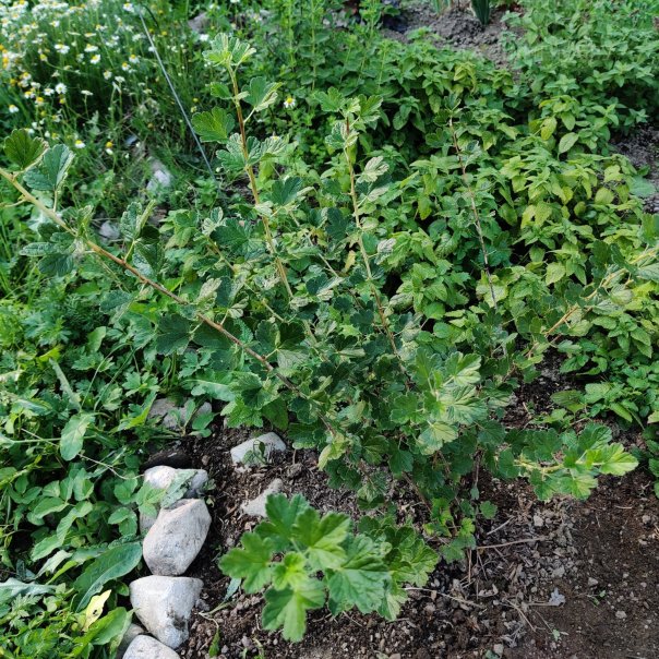 превью изображения отзыва