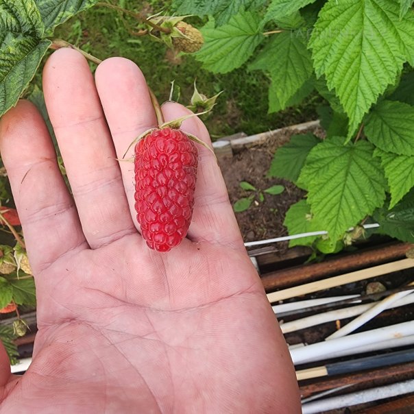 превью изображения отзыва