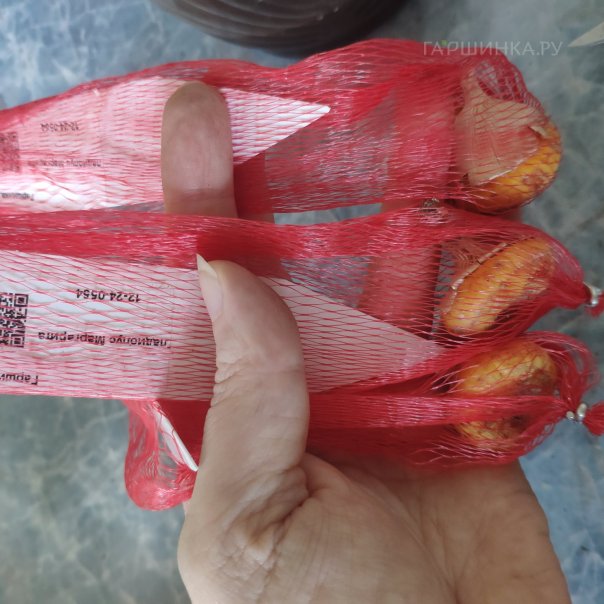 превью изображения отзыва