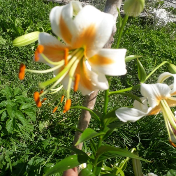 превью изображения отзыва