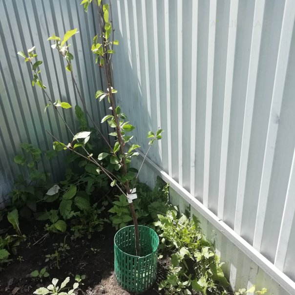 превью изображения отзыва