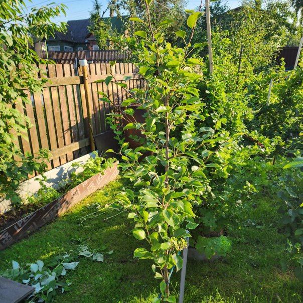 превью изображения отзыва