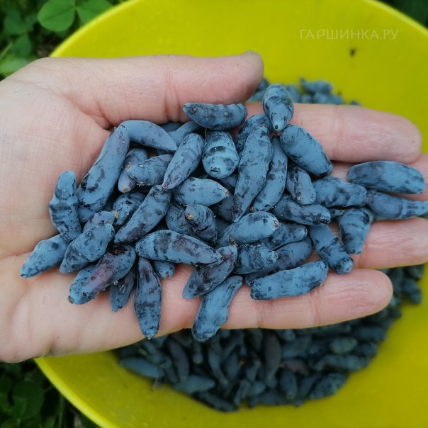 превью изображения отзыва