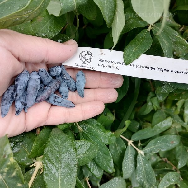 превью изображения отзыва