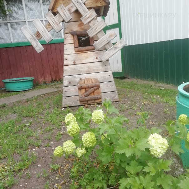 превью изображения отзыва