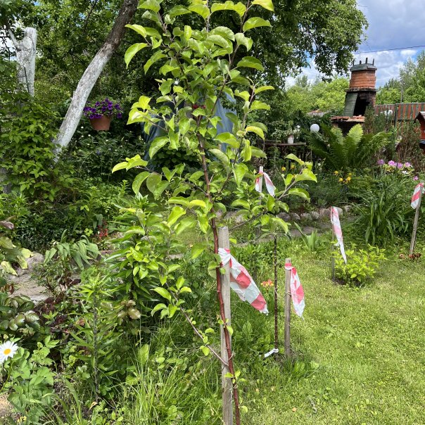 превью изображения отзыва