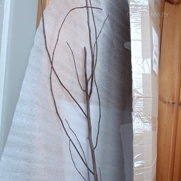 превью изображения отзыва