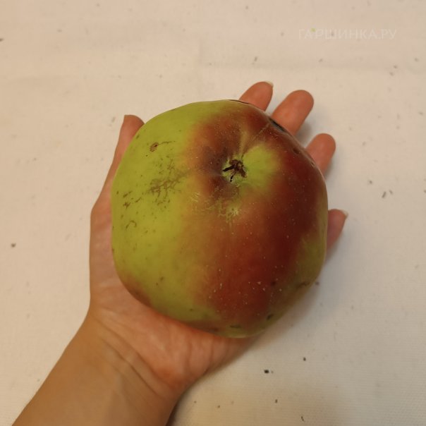 превью изображения отзыва