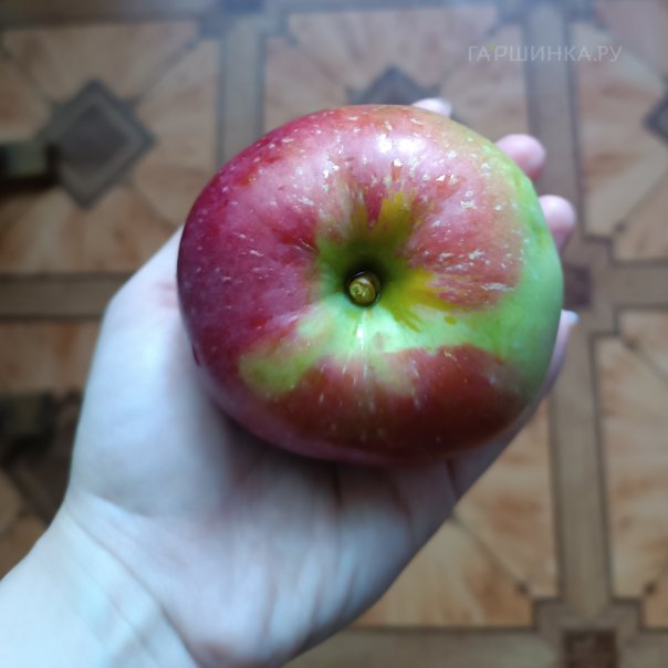 превью изображения отзыва