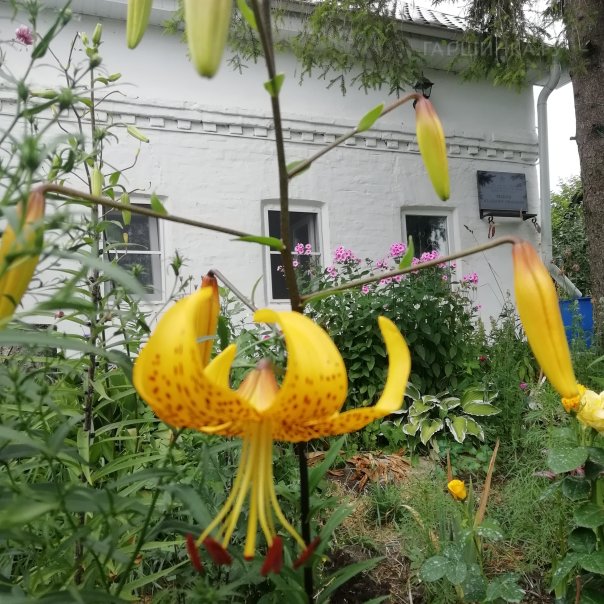 превью изображения отзыва