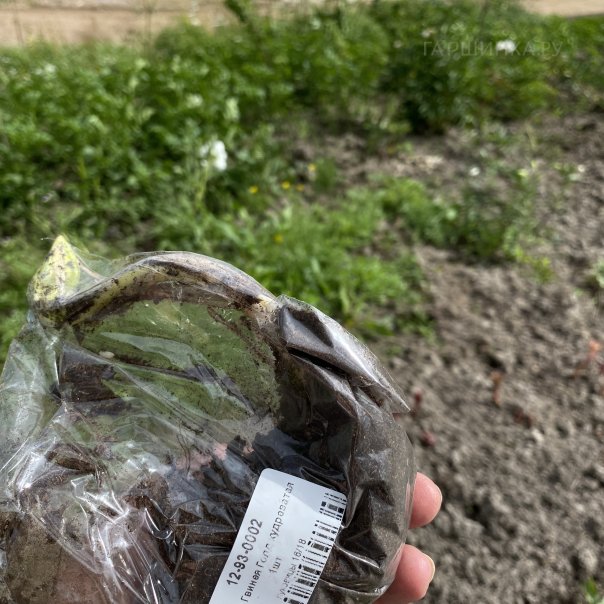 превью изображения отзыва