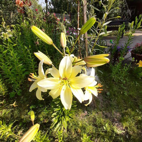 превью изображения отзыва