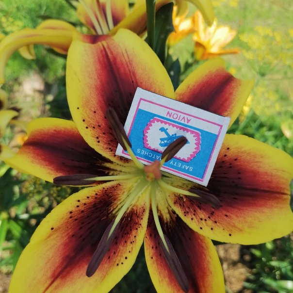 превью изображения отзыва