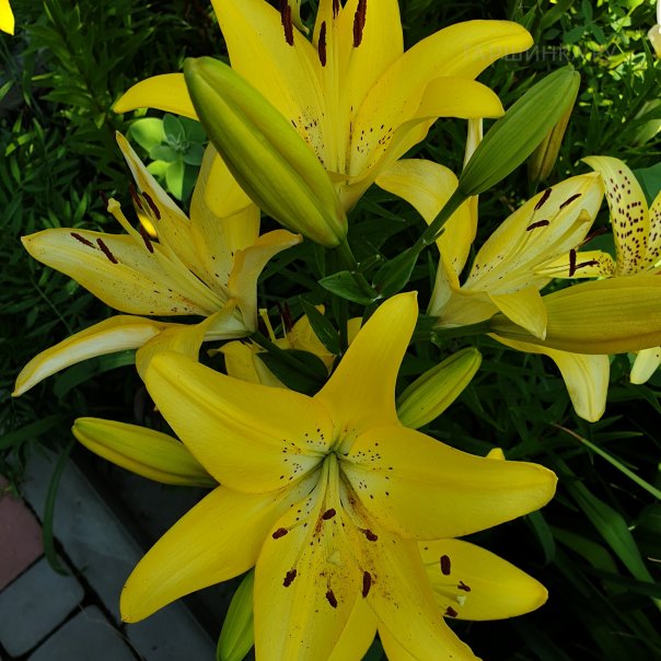 превью изображения отзыва