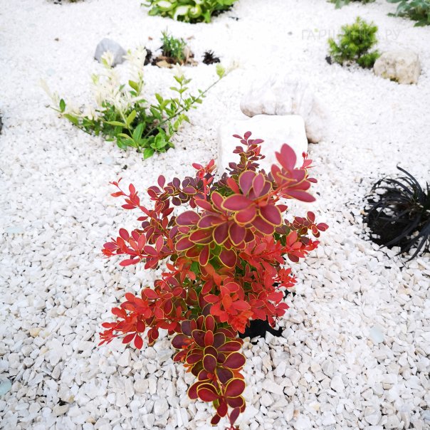 превью изображения отзыва