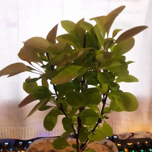 превью изображения отзыва