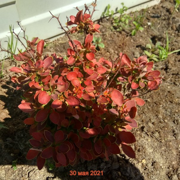 превью изображения отзыва