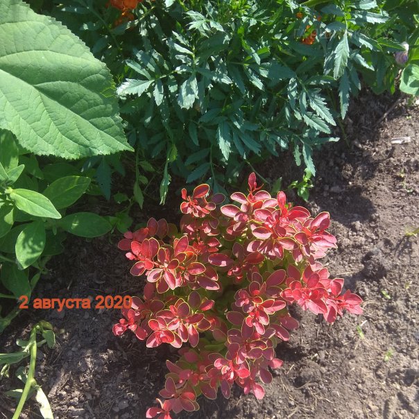 превью изображения отзыва