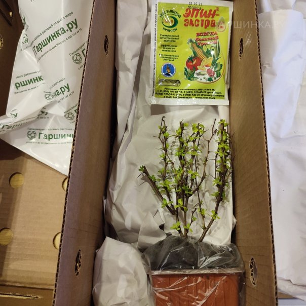 превью изображения отзыва