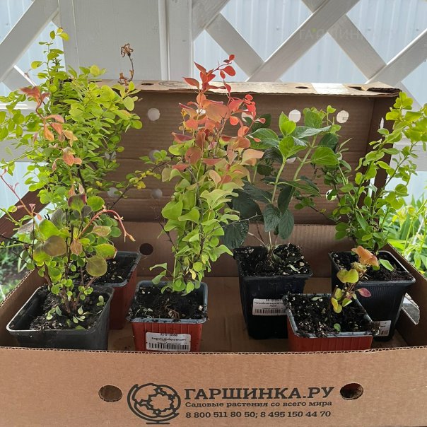 превью изображения отзыва