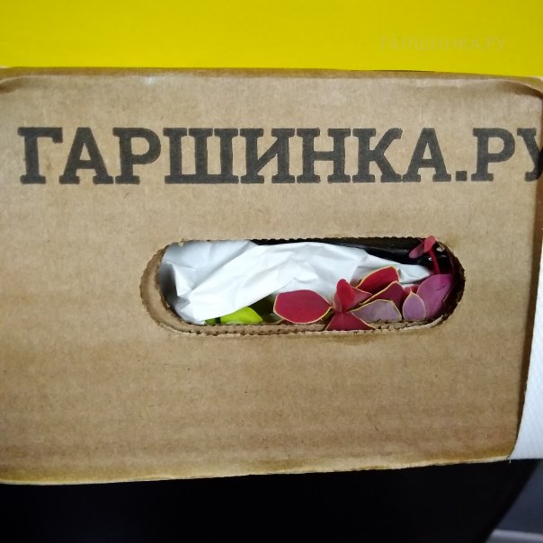 превью изображения отзыва