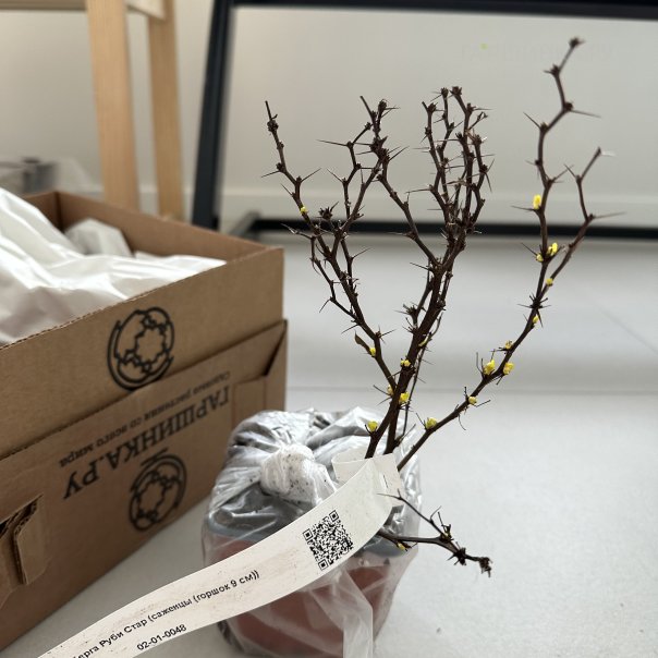 превью изображения отзыва