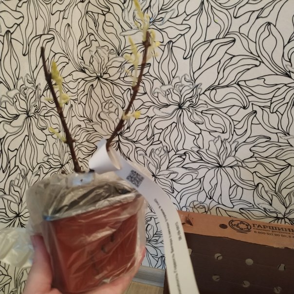 превью изображения отзыва