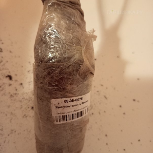 превью изображения отзыва