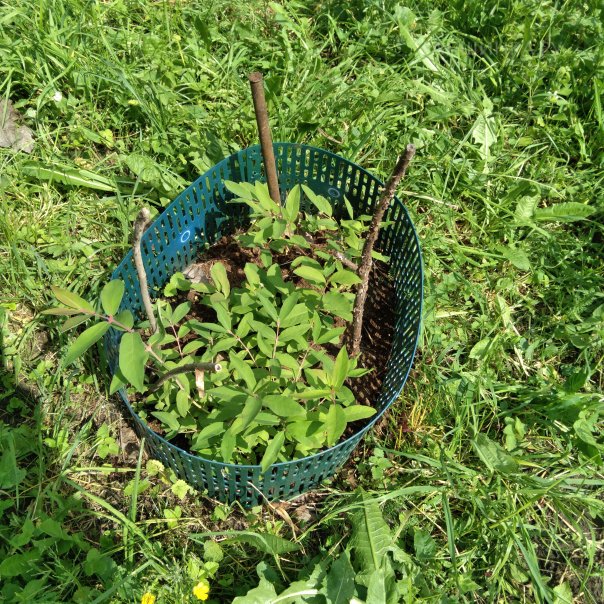 превью изображения отзыва