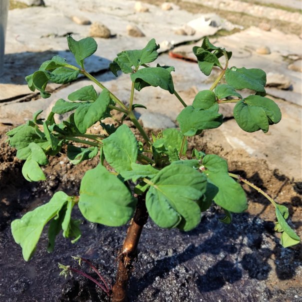 превью изображения отзыва