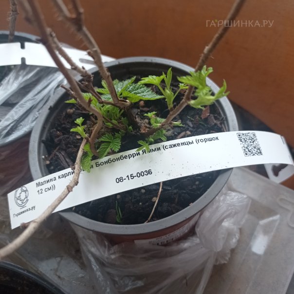 превью изображения отзыва