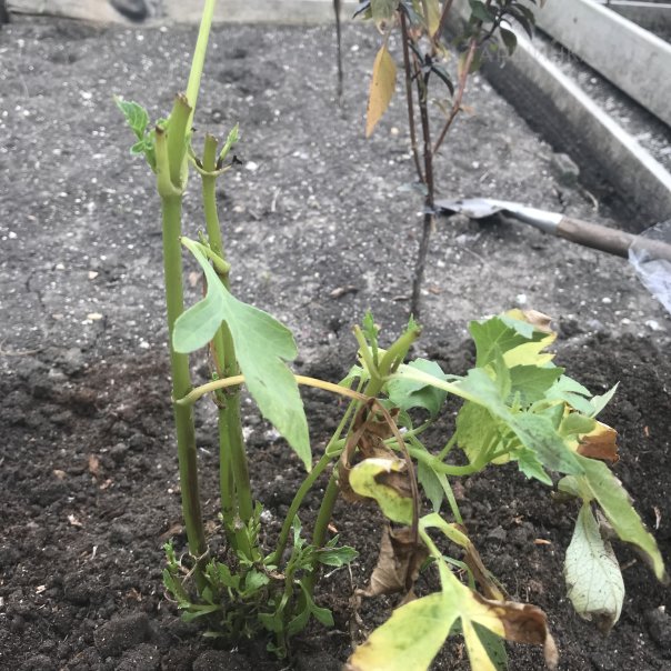 превью изображения отзыва